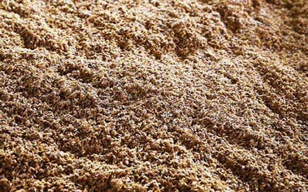 投資新型酒糟烘干機(jī)有哪些注意事項(xiàng) 投資新型酒糟烘干機(jī)有哪些注意事項(xiàng)